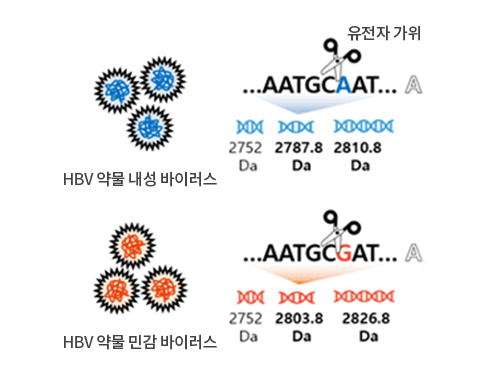 작용원리 1