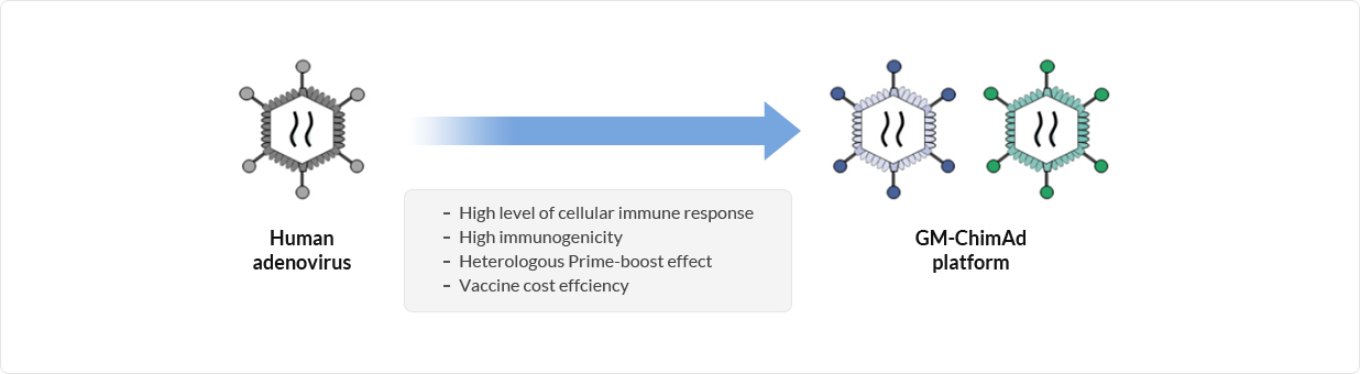 키메릭 아데노바이러스 벡터 플랫폼