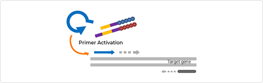 Principle of Operation2