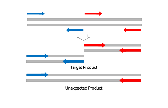 Multiplex PCR of intramolecular proximity target